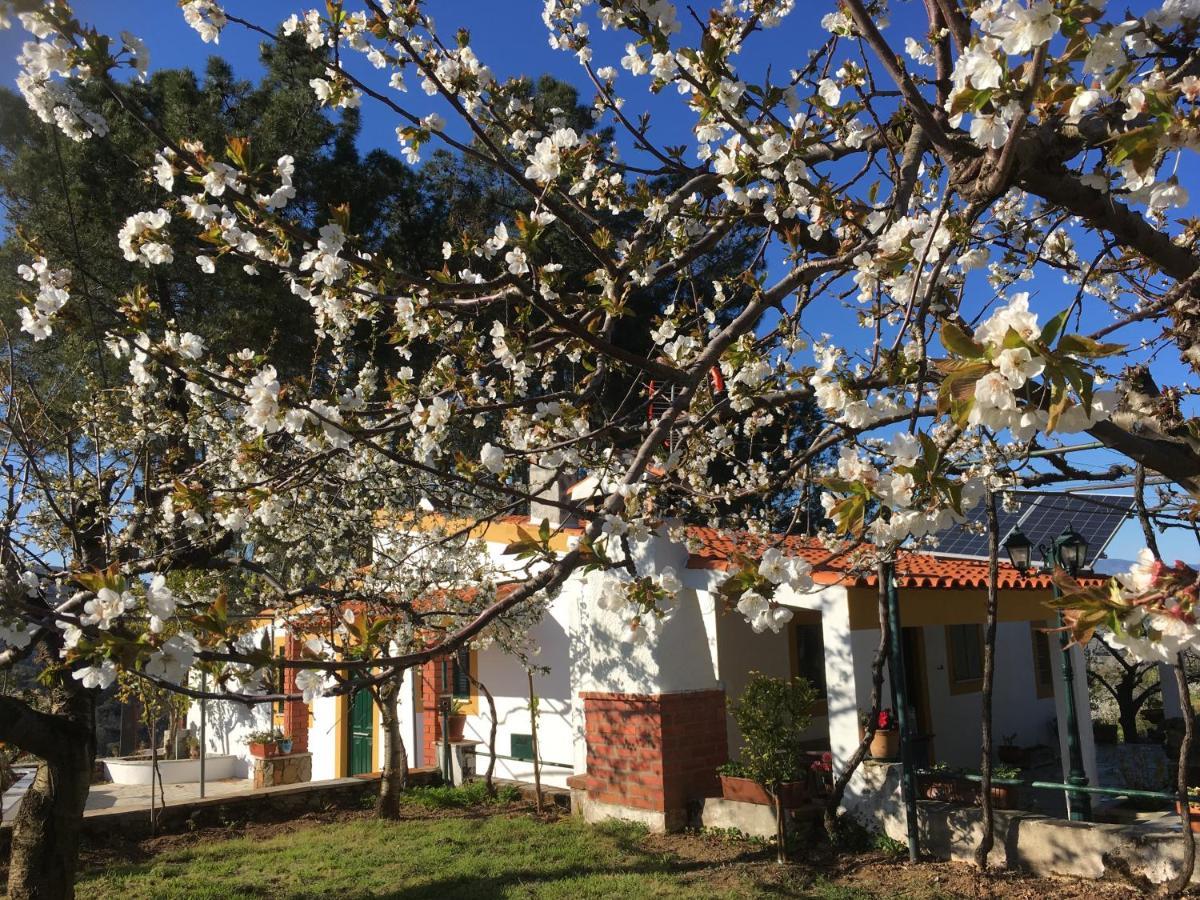 Casas De Campo Em Cerejal Βίλα Fundão Εξωτερικό φωτογραφία