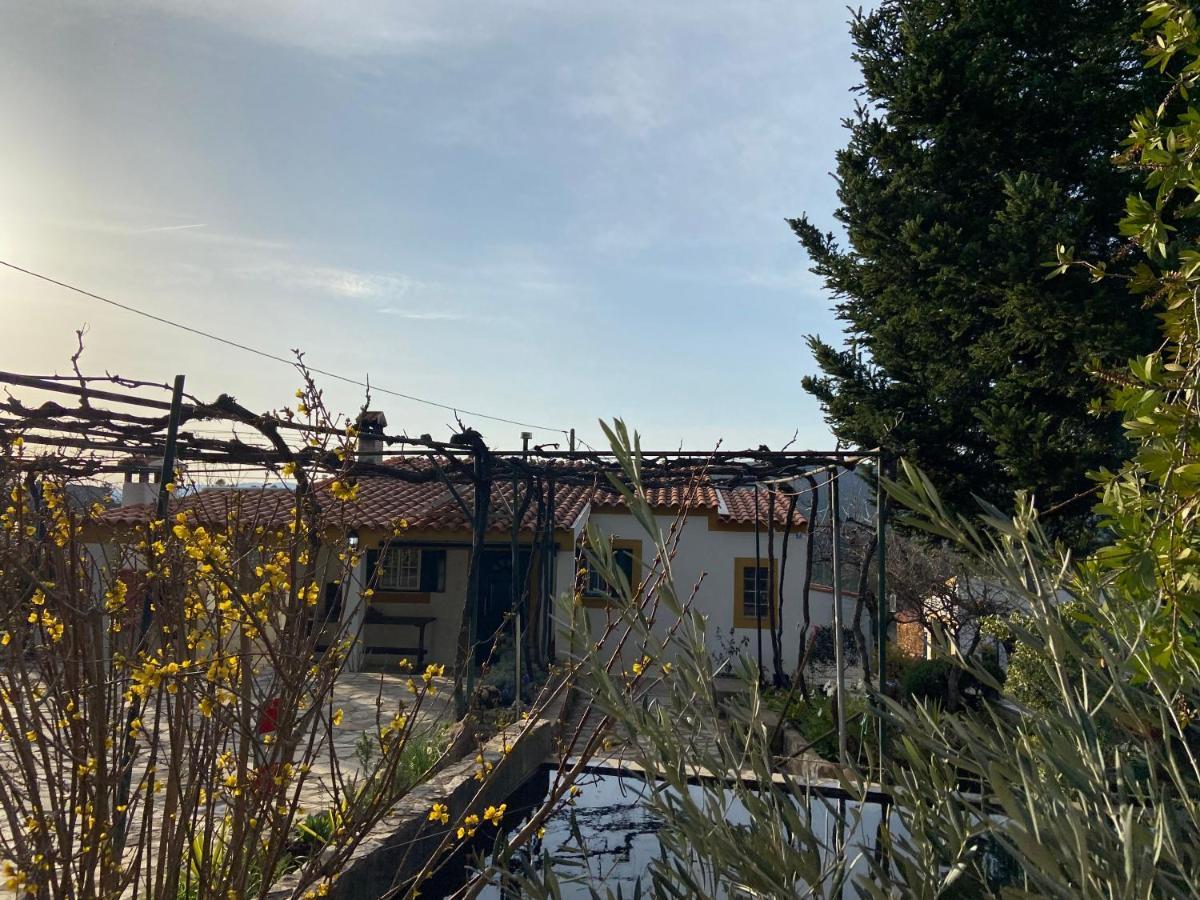 Casas De Campo Em Cerejal Βίλα Fundão Εξωτερικό φωτογραφία