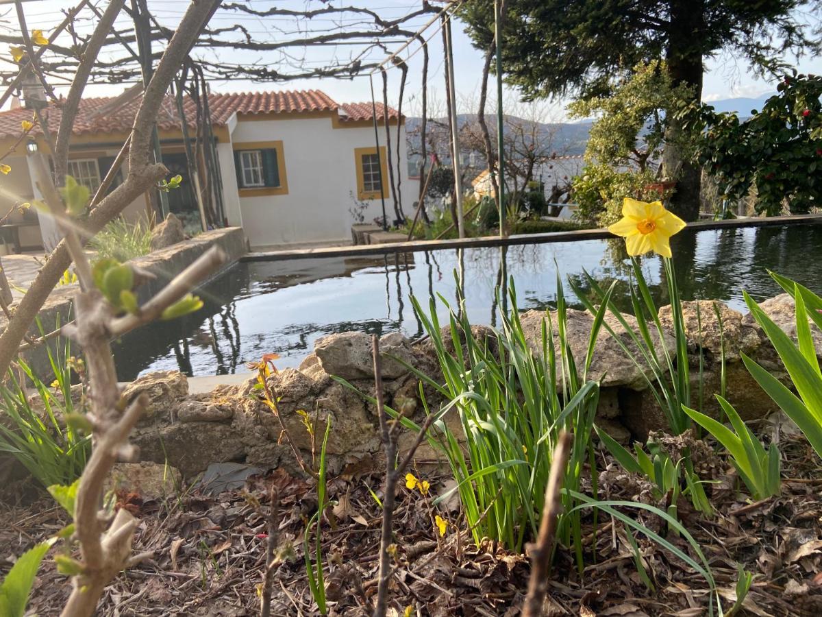 Casas De Campo Em Cerejal Βίλα Fundão Εξωτερικό φωτογραφία